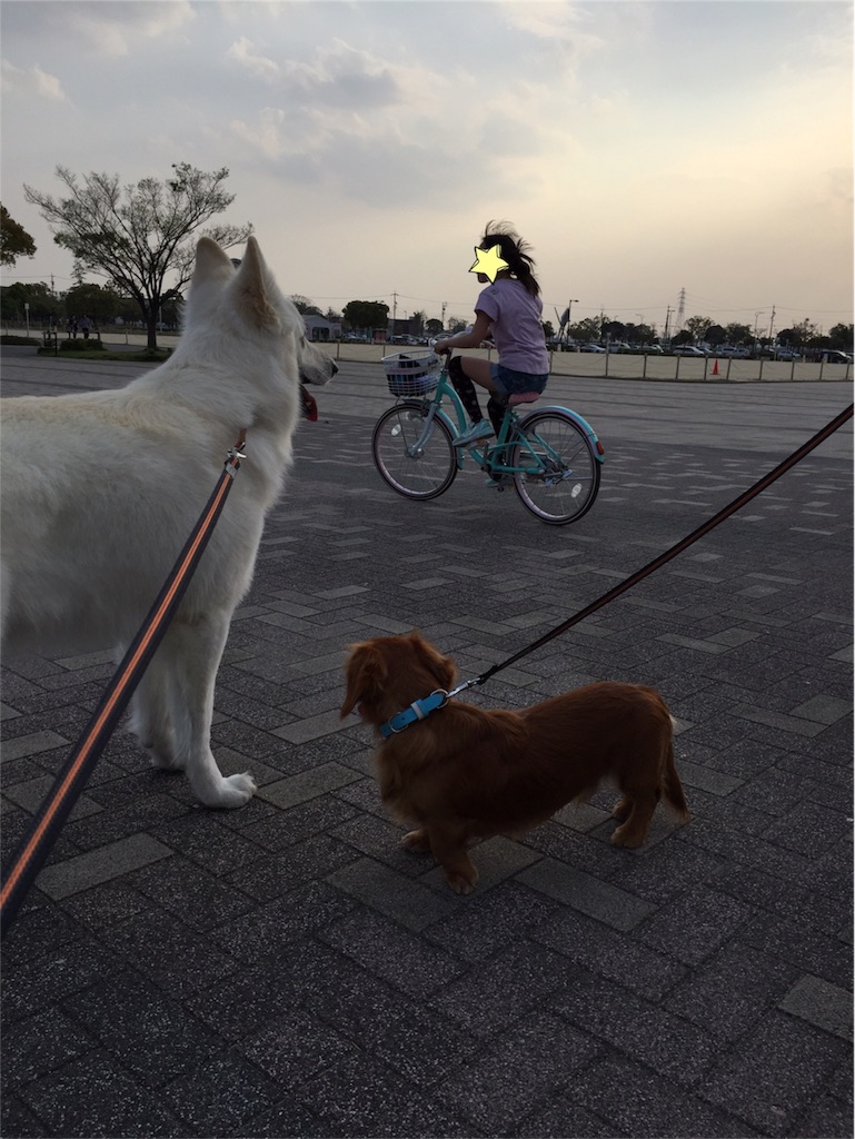 f:id:Lien0927:20180404213910j:image f:id:Lien0927:20180404213910j:image
