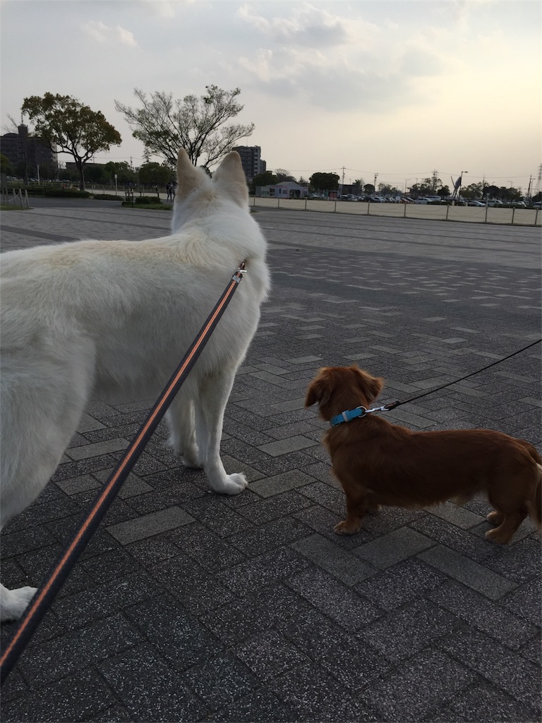 f:id:Lien0927:20180404213916j:image f:id:Lien0927:20180404213916j:image