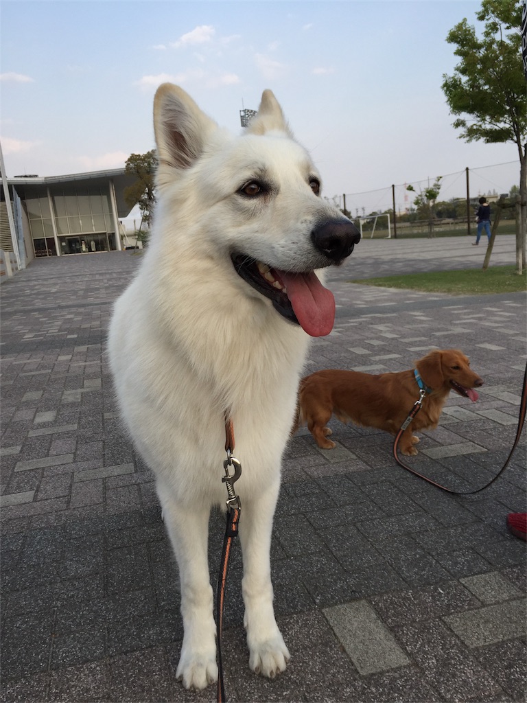 f:id:Lien0927:20180404214156j:image f:id:Lien0927:20180404214156j:image