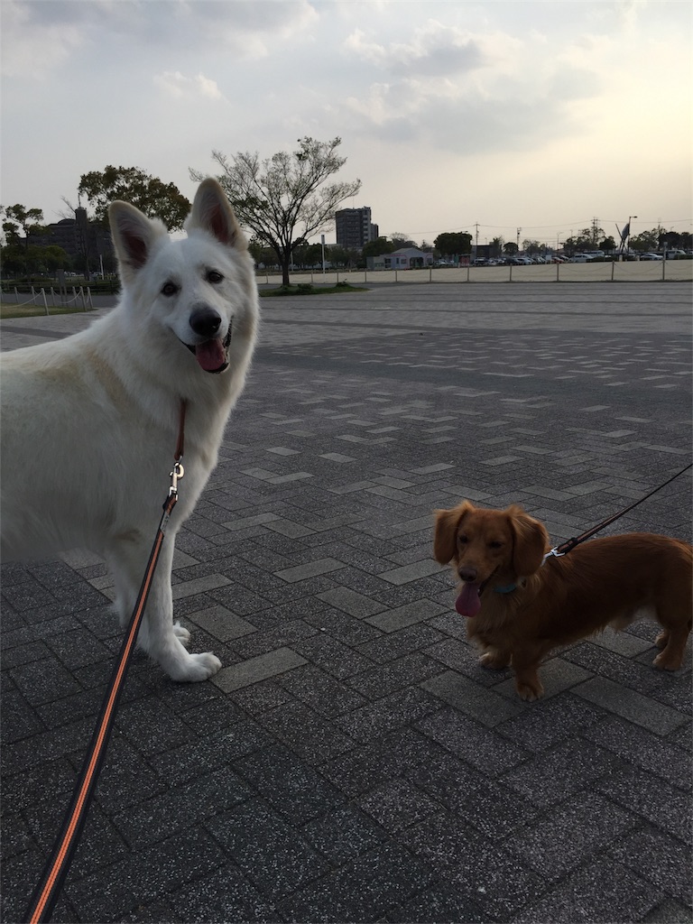 f:id:Lien0927:20180404214314j:image f:id:Lien0927:20180404214314j:image