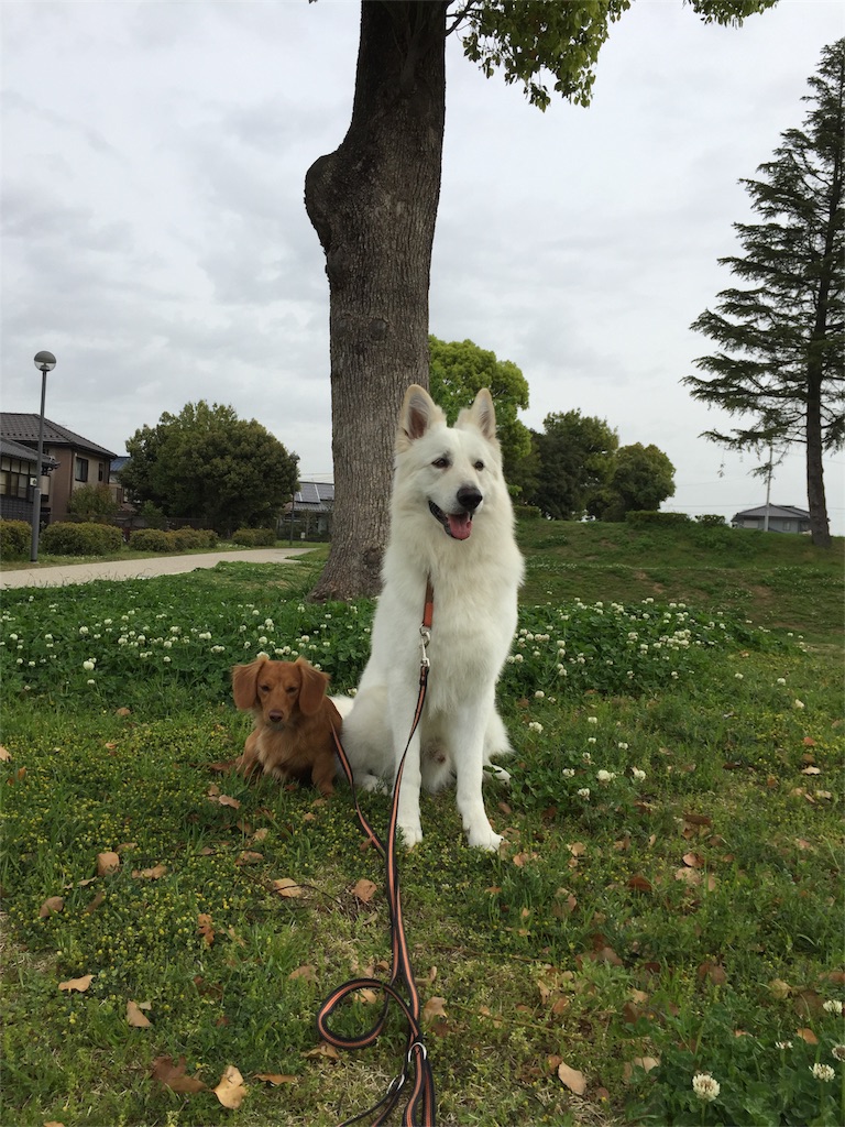 f:id:Lien0927:20180417122850j:image