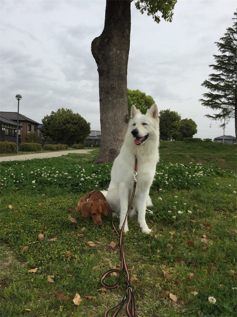 f:id:Lien0927:20180417122911j:image