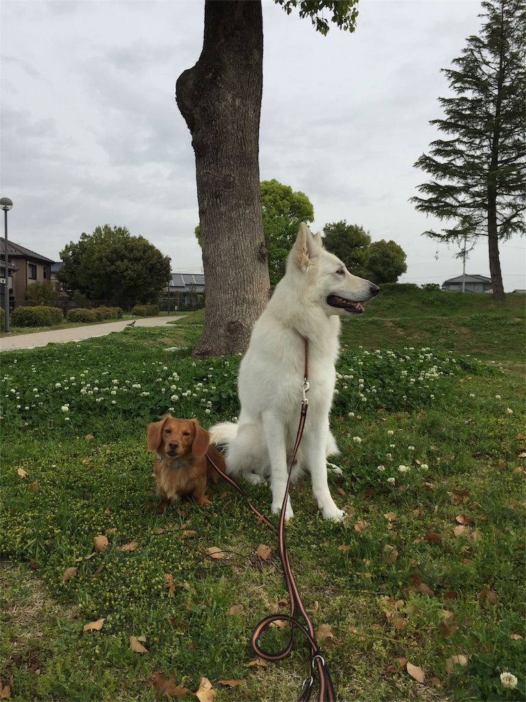 f:id:Lien0927:20180417123042j:image