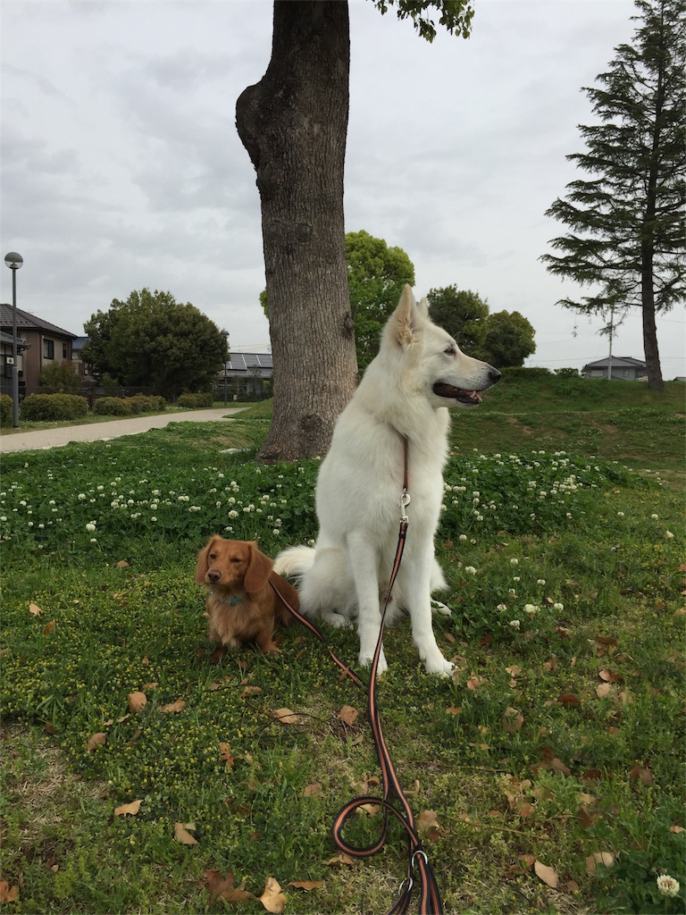 f:id:Lien0927:20180417123105j:image