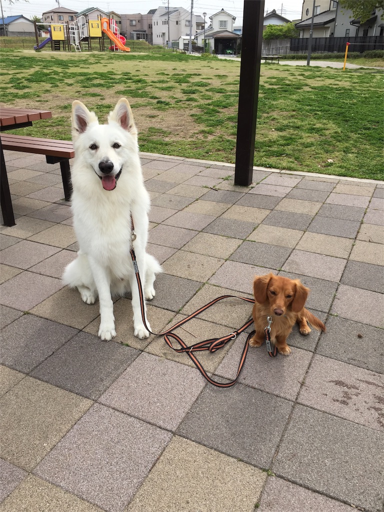 f:id:Lien0927:20180417123232j:image