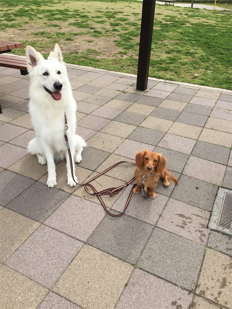 f:id:Lien0927:20180417123240j:image