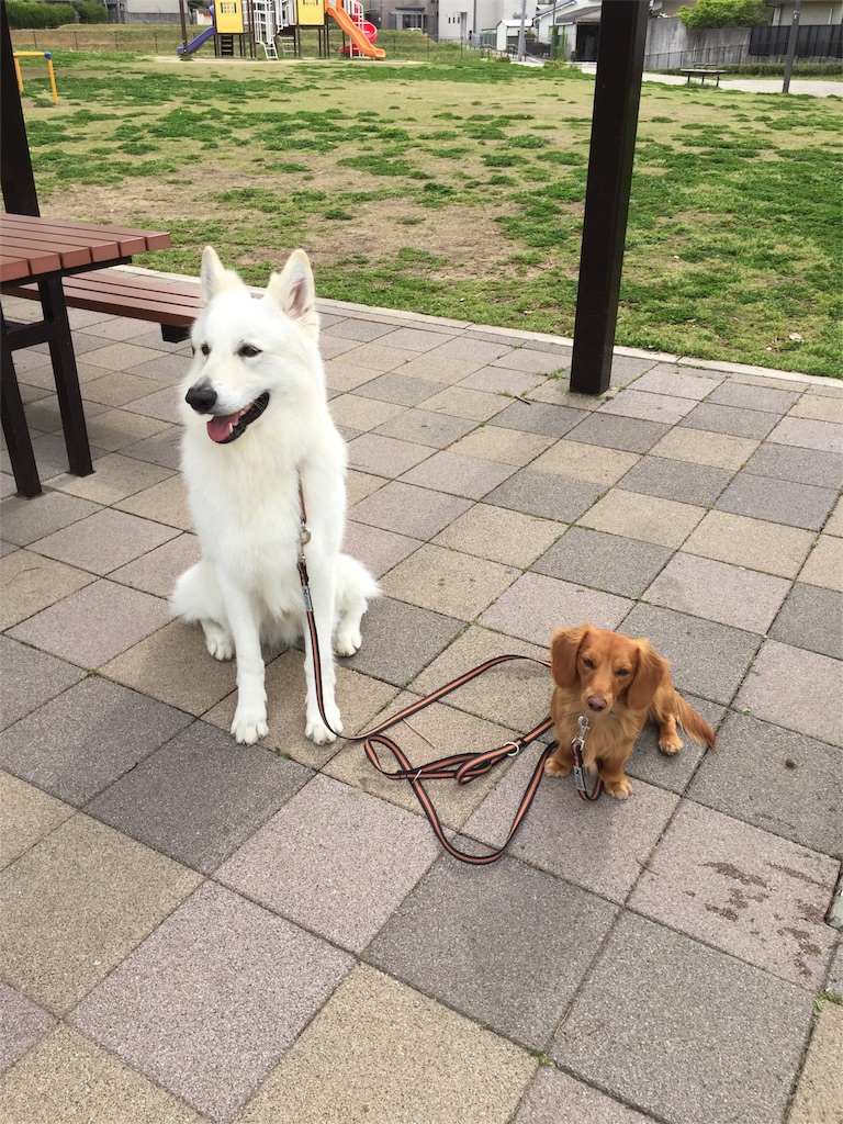 f:id:Lien0927:20180417123253j:image