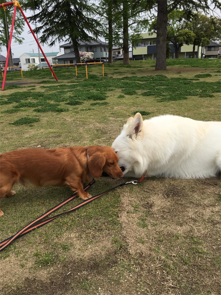 f:id:Lien0927:20180417144257j:image