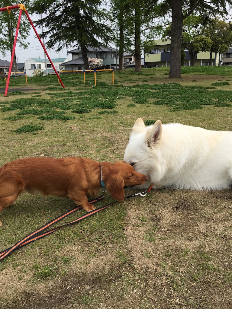 f:id:Lien0927:20180417144305j:image