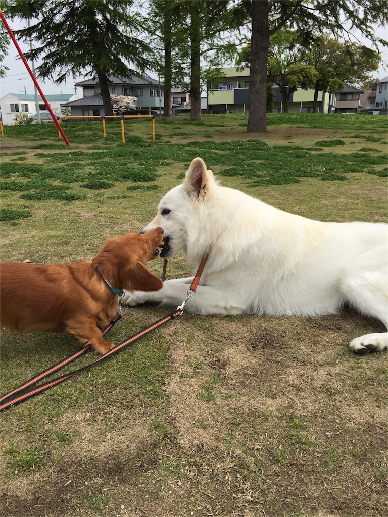 f:id:Lien0927:20180417144315j:image