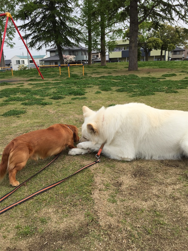 f:id:Lien0927:20180417144342j:image