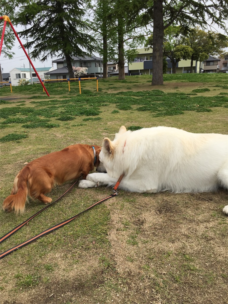 f:id:Lien0927:20180417144355j:image