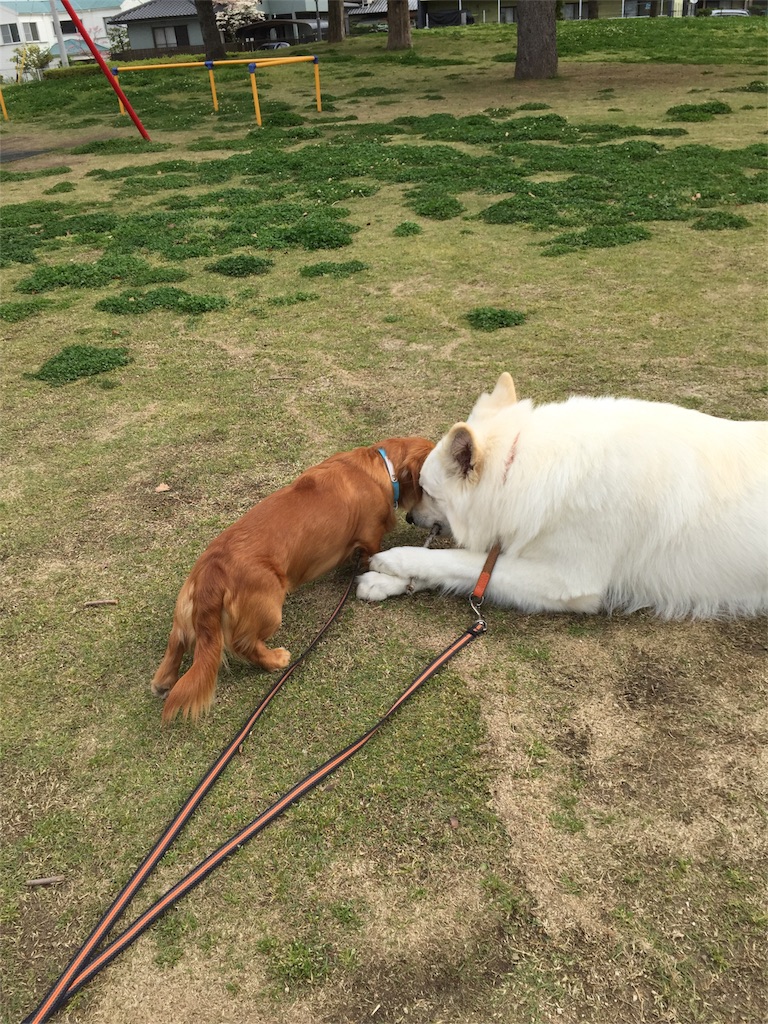 f:id:Lien0927:20180417144404j:image