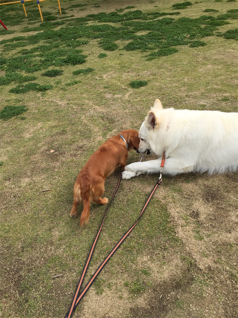 f:id:Lien0927:20180417144414j:image