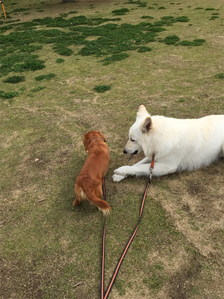 f:id:Lien0927:20180417144438j:image