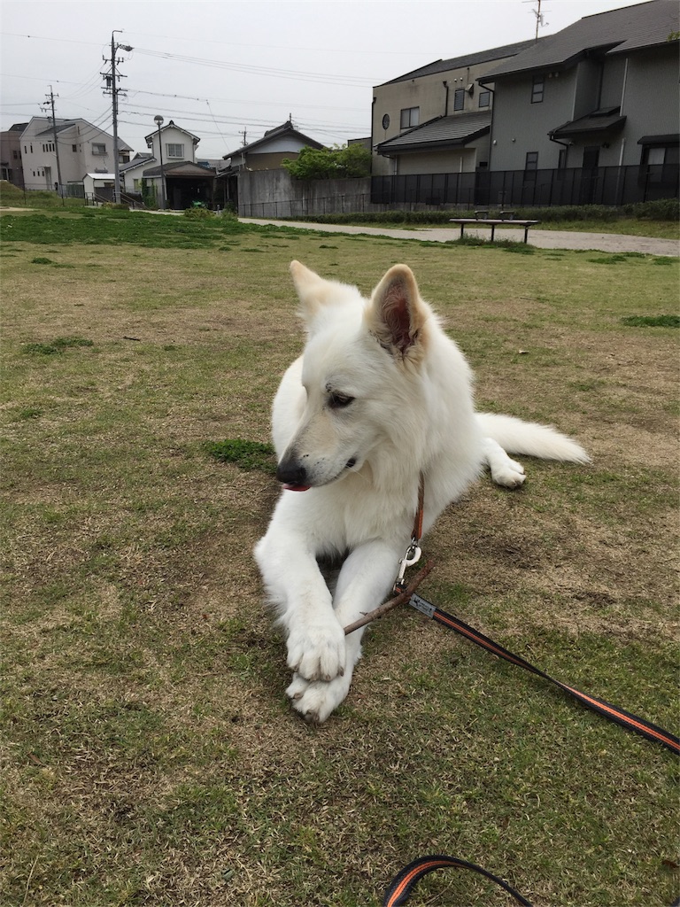 f:id:Lien0927:20180417144941j:image