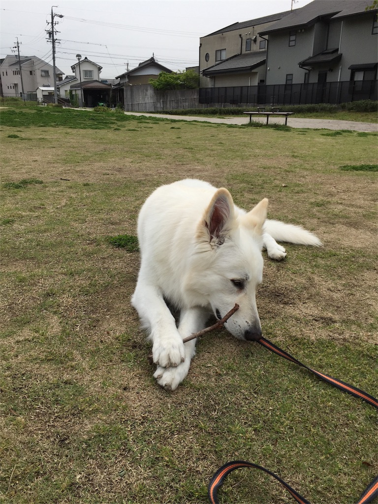 f:id:Lien0927:20180417144950j:image