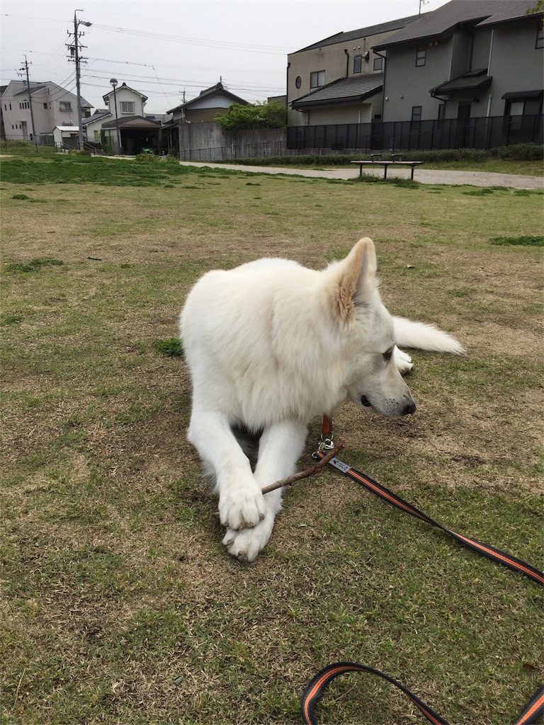 f:id:Lien0927:20180417144954j:image