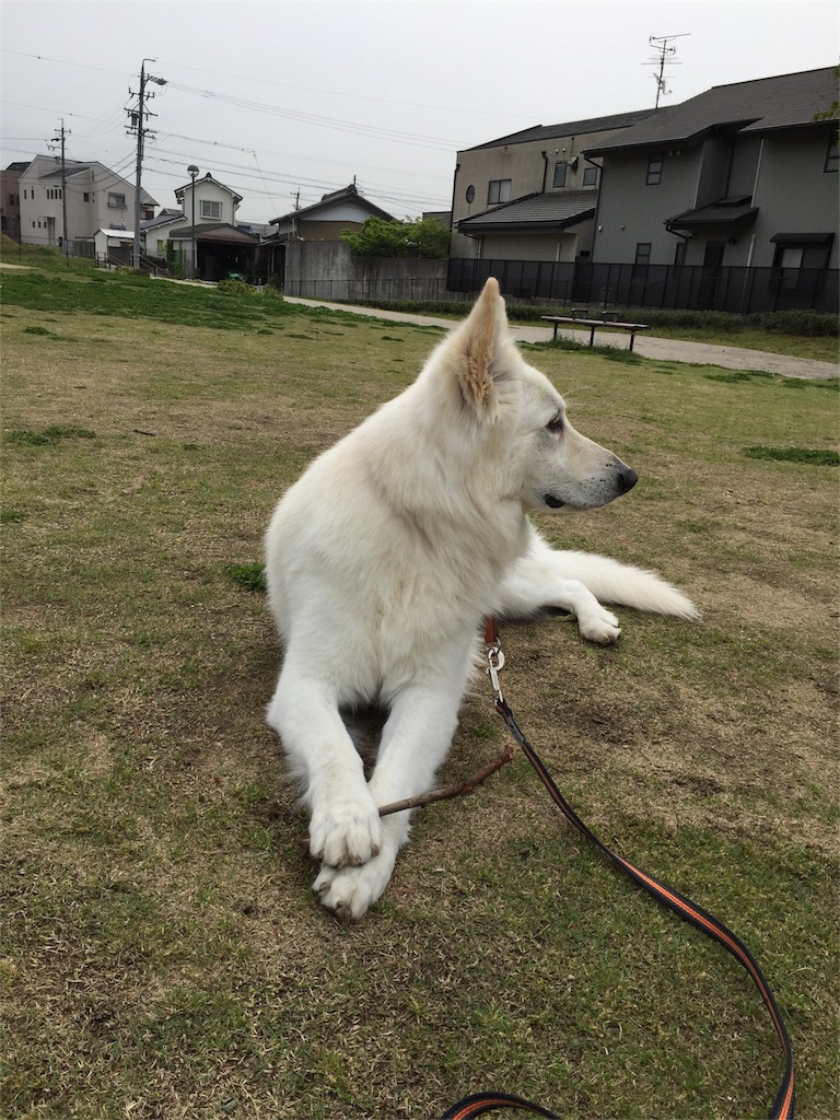 f:id:Lien0927:20180417145006j:image