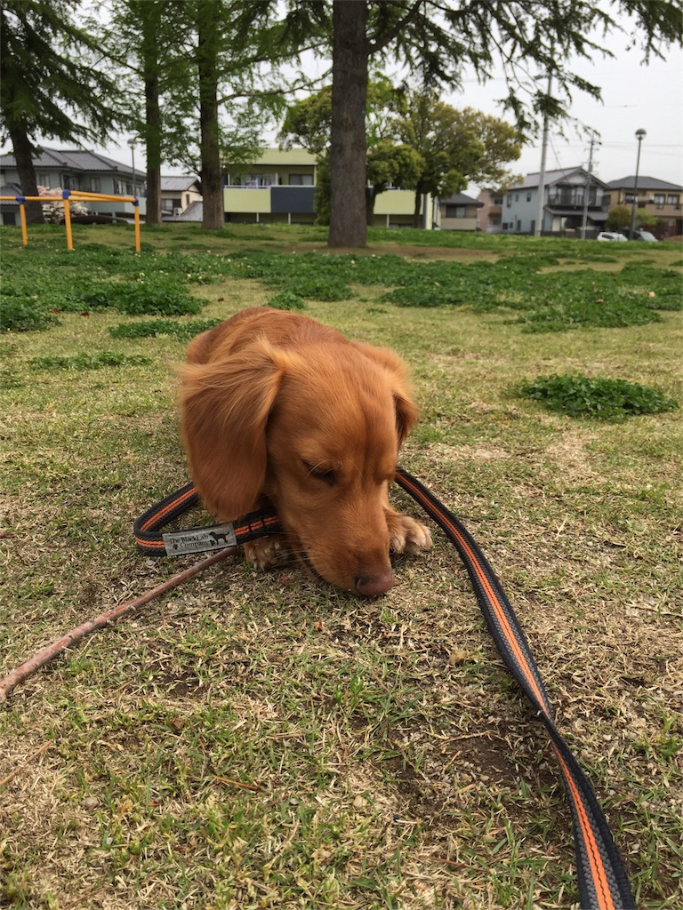 f:id:Lien0927:20180417145203j:image