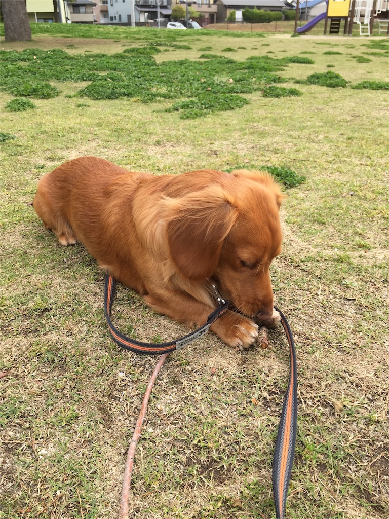 f:id:Lien0927:20180417145231j:image