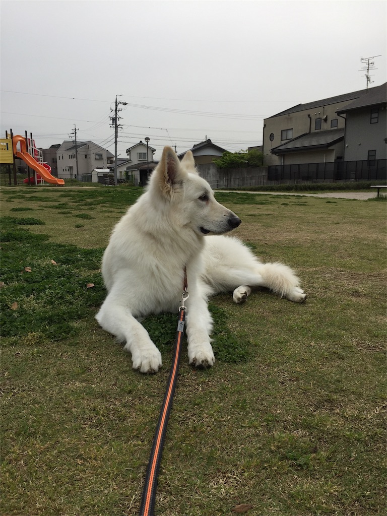 f:id:Lien0927:20180417145444j:image