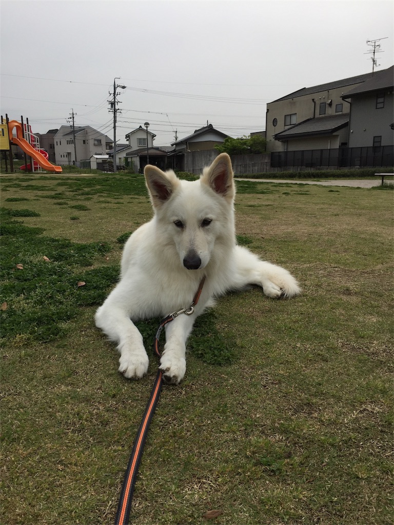 f:id:Lien0927:20180417145452j:image