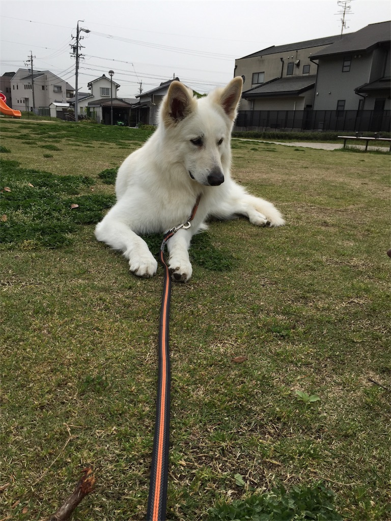 f:id:Lien0927:20180417145459j:image