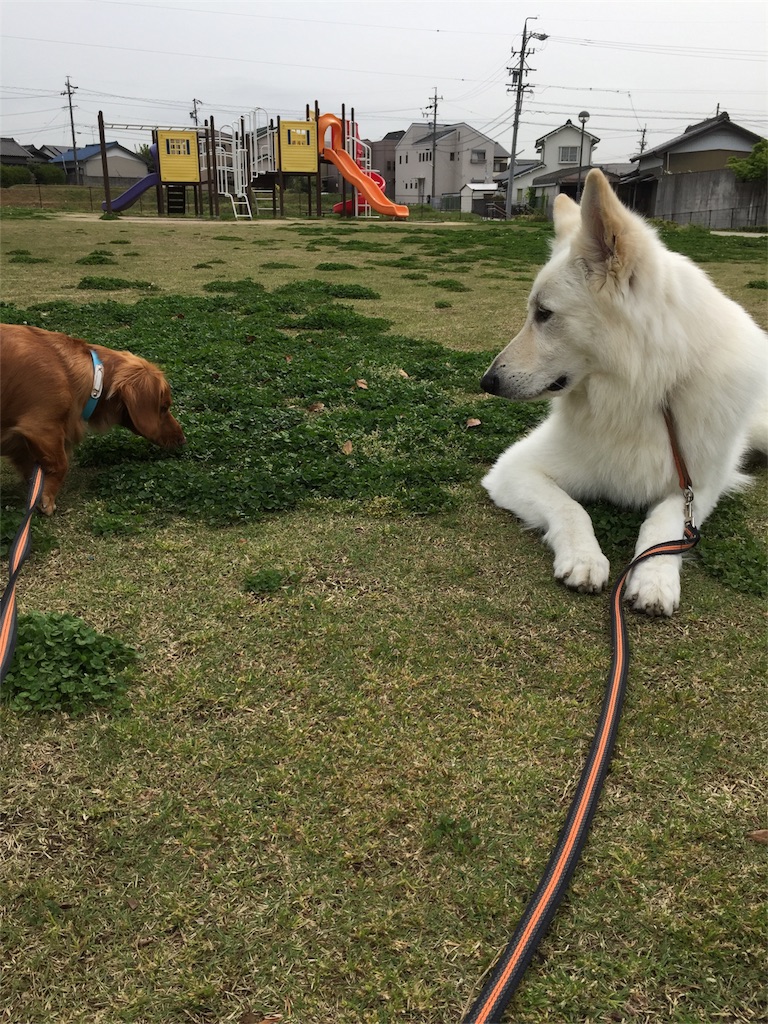 f:id:Lien0927:20180417145652j:image