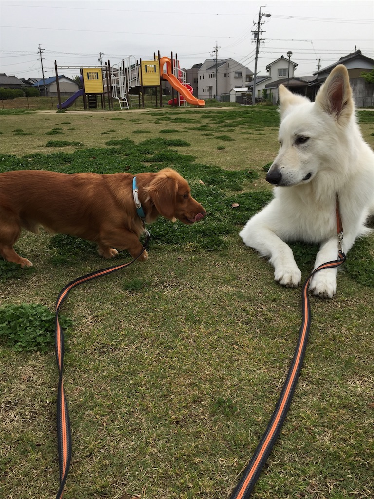 f:id:Lien0927:20180417145702j:image