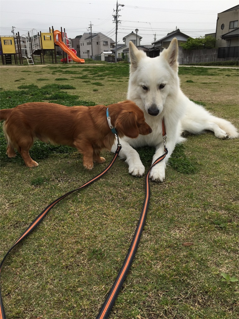 f:id:Lien0927:20180417145713j:image