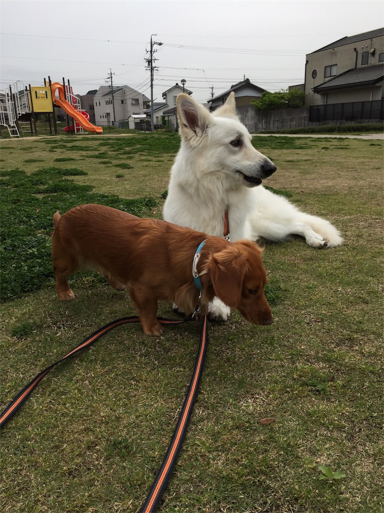 f:id:Lien0927:20180417145734j:image