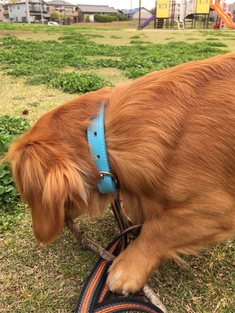 f:id:Lien0927:20180417150534j:image