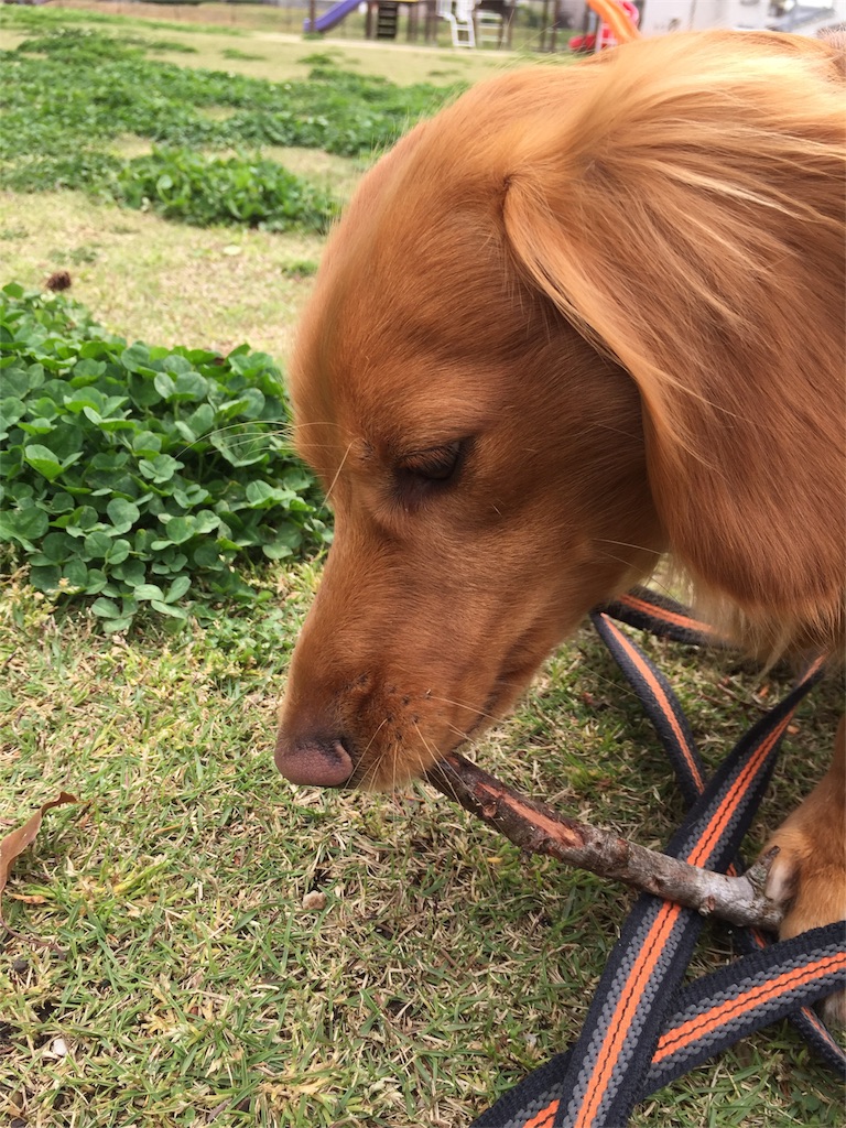 f:id:Lien0927:20180417150540j:image