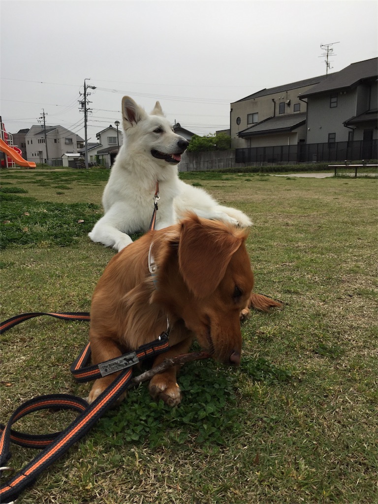 f:id:Lien0927:20180417150600j:image