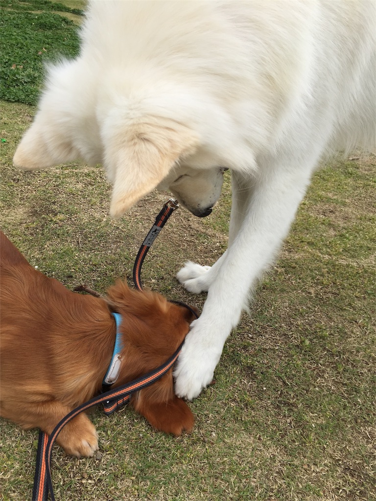 f:id:Lien0927:20180417150736j:image