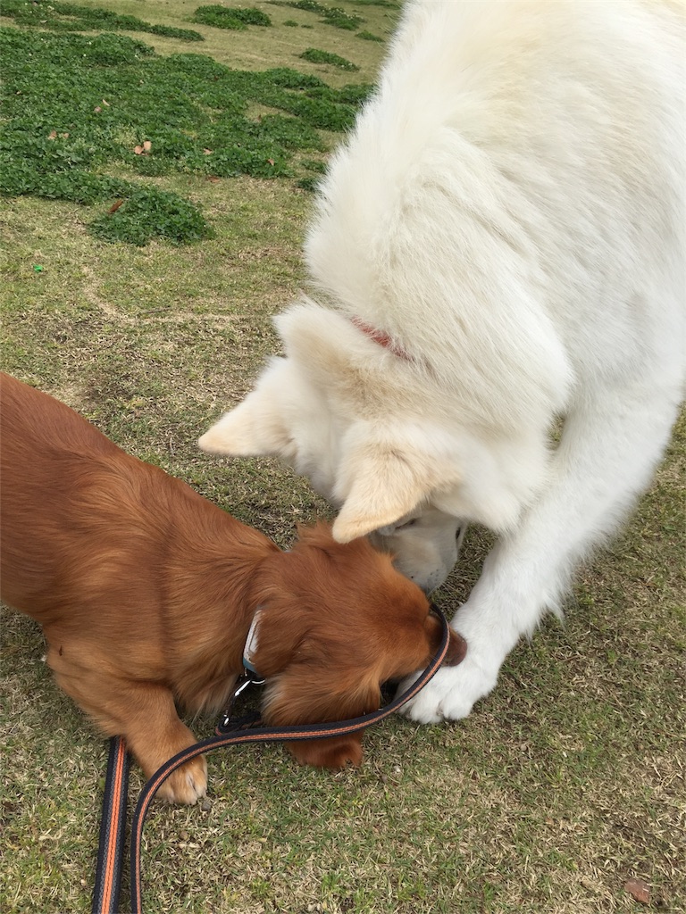 f:id:Lien0927:20180417150749j:image