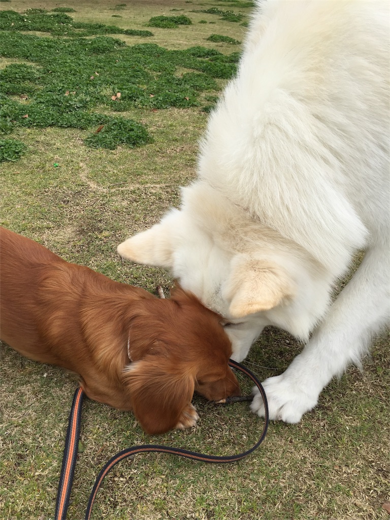 f:id:Lien0927:20180417150801j:image