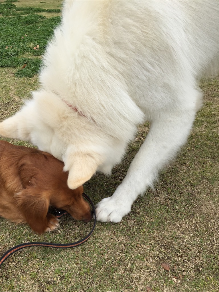 f:id:Lien0927:20180417150901j:image