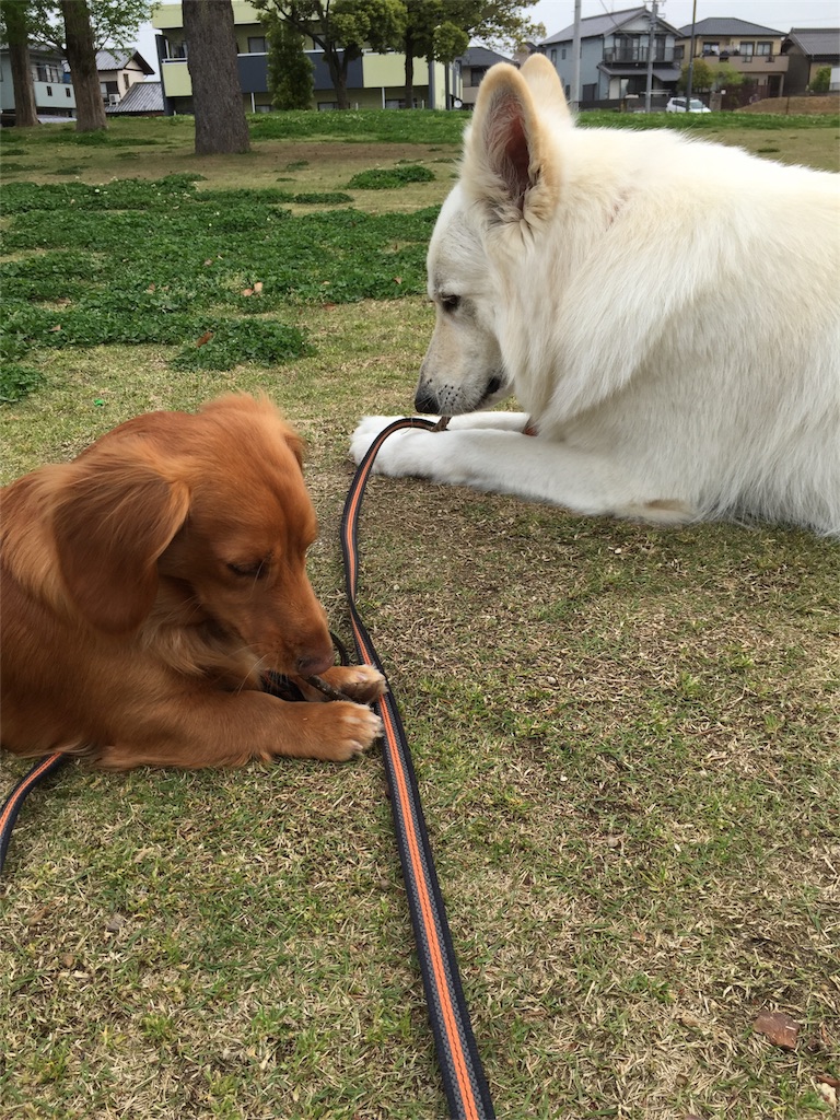 f:id:Lien0927:20180417151159j:image