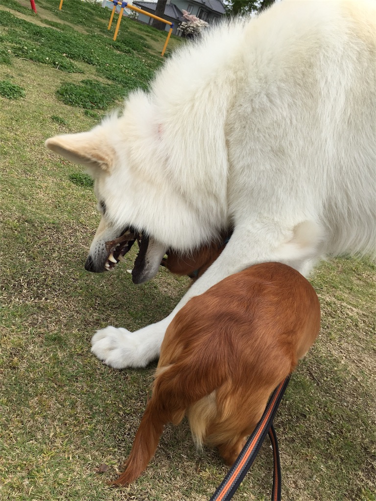 f:id:Lien0927:20180417151514j:image