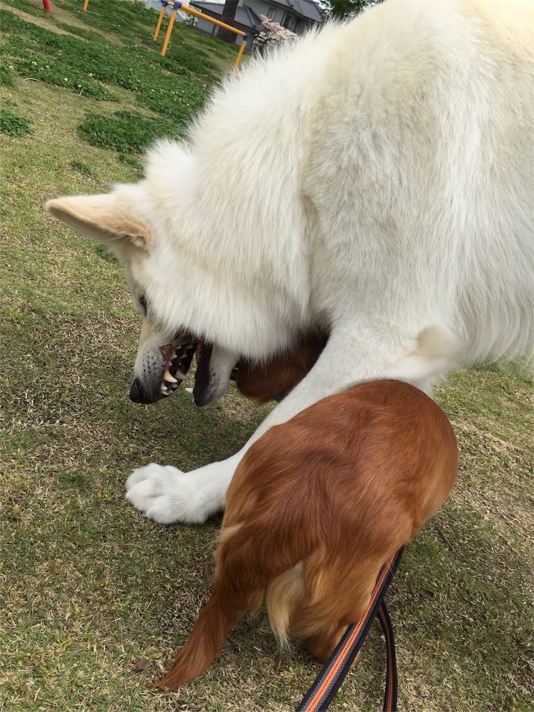 f:id:Lien0927:20180417151523j:image