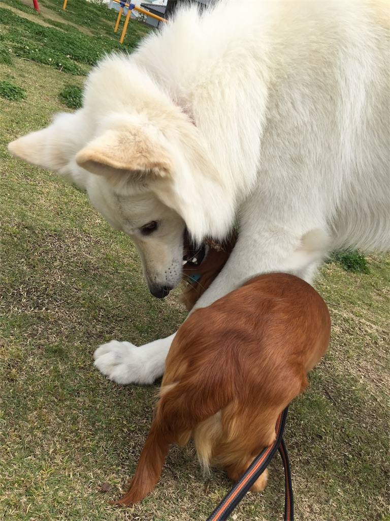 f:id:Lien0927:20180417151532j:image