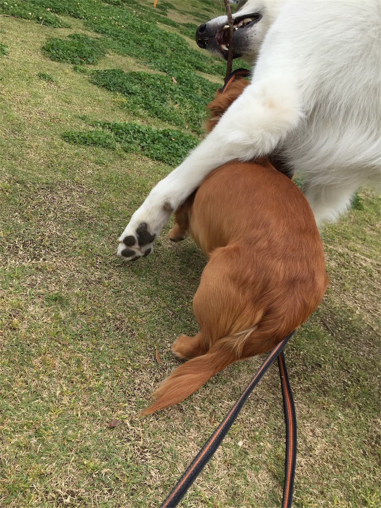 f:id:Lien0927:20180417151549j:image