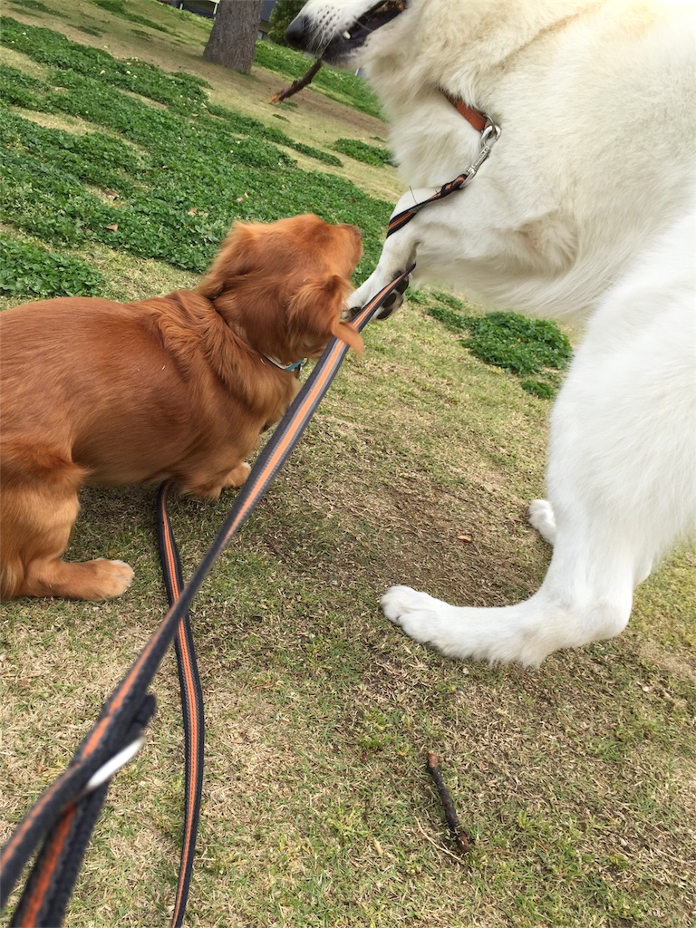 f:id:Lien0927:20180417151636j:image