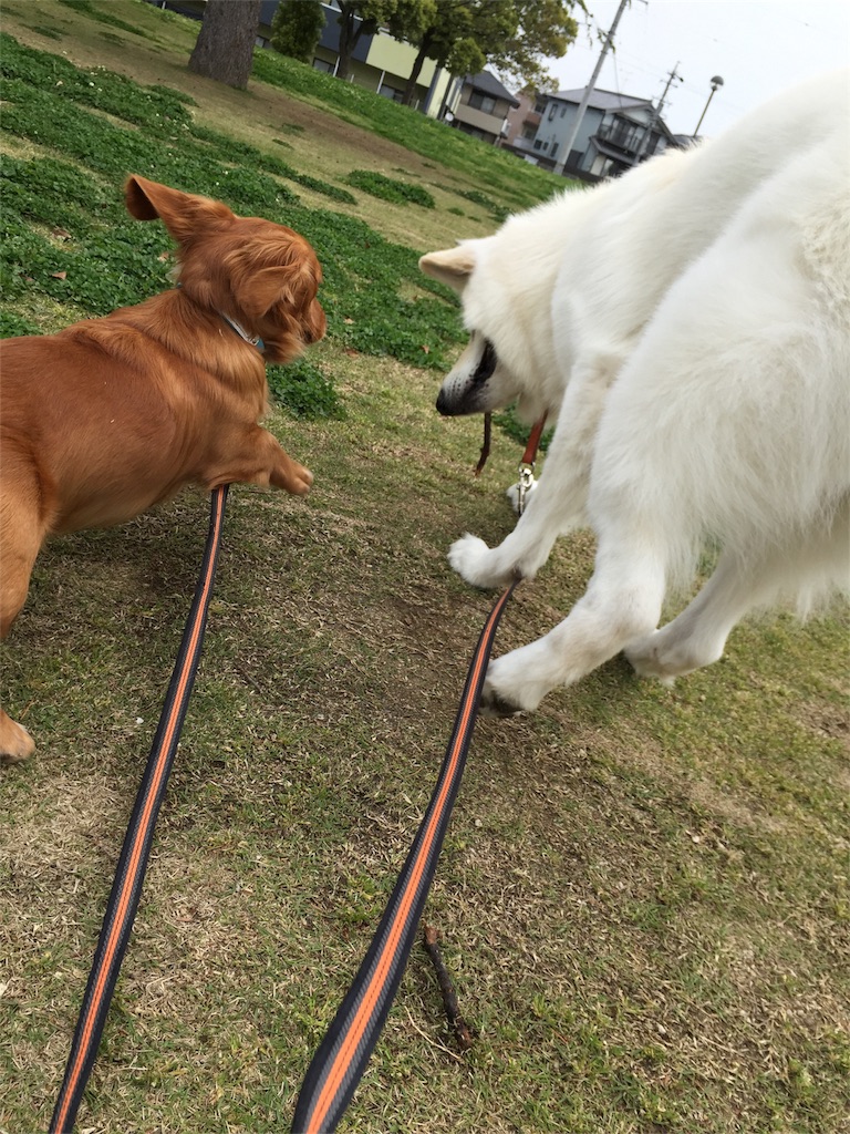 f:id:Lien0927:20180417151645j:image