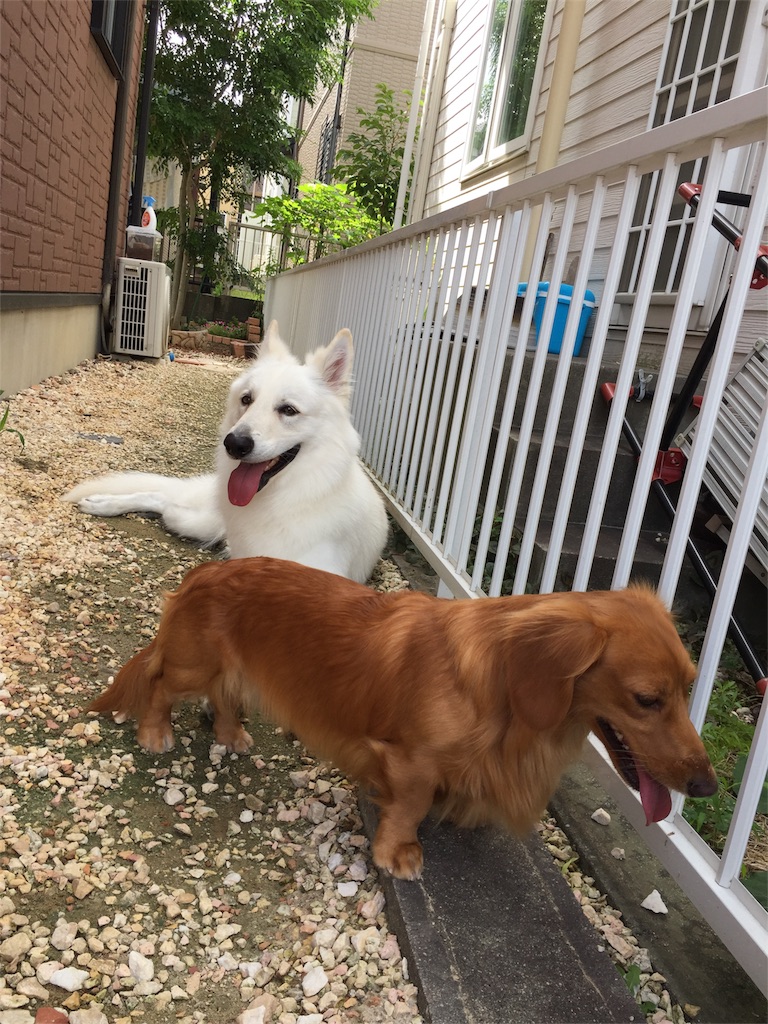 f:id:Lien0927:20180703120210j:image f:id:Lien0927:20180703120210j:image