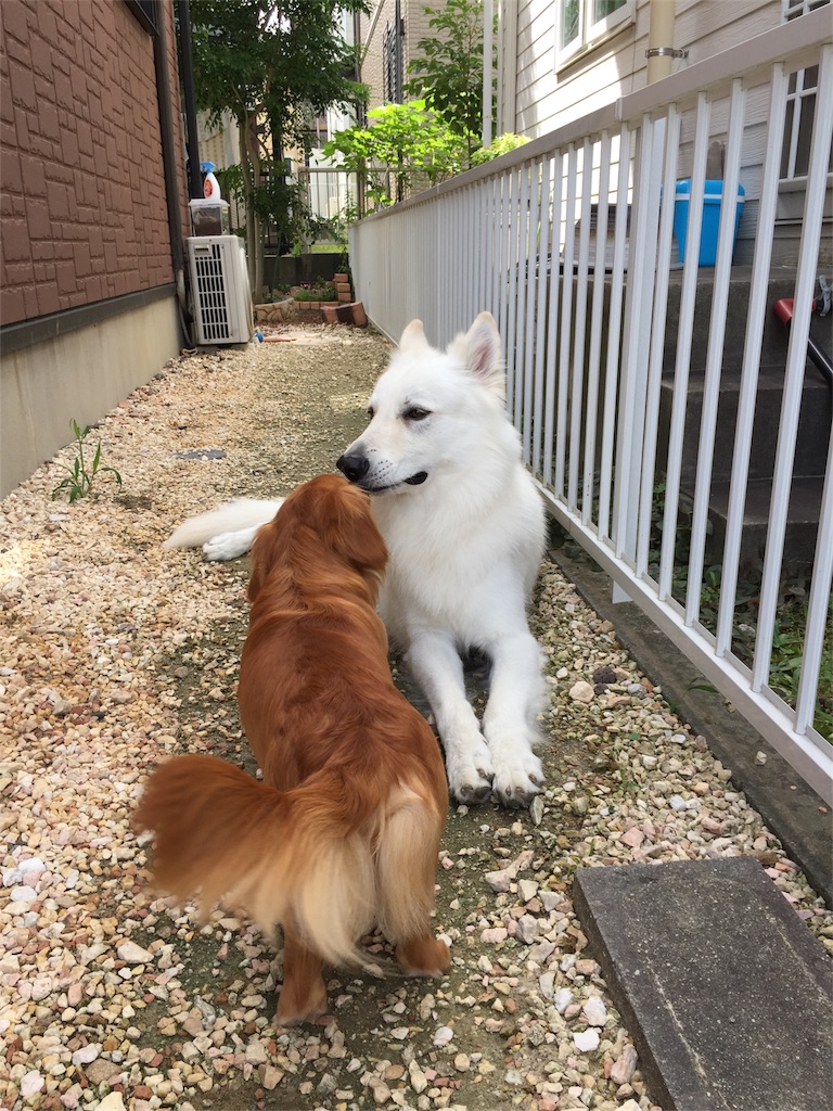 f:id:Lien0927:20180703120215j:image f:id:Lien0927:20180703120215j:image