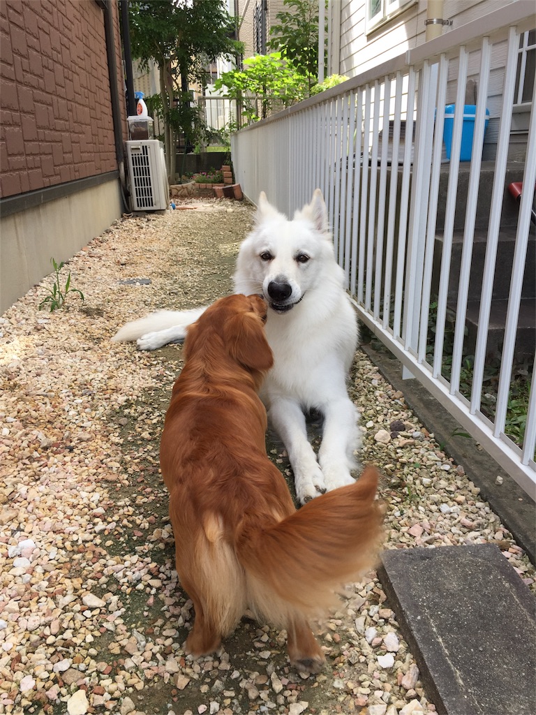 f:id:Lien0927:20180703120219j:image f:id:Lien0927:20180703120219j:image