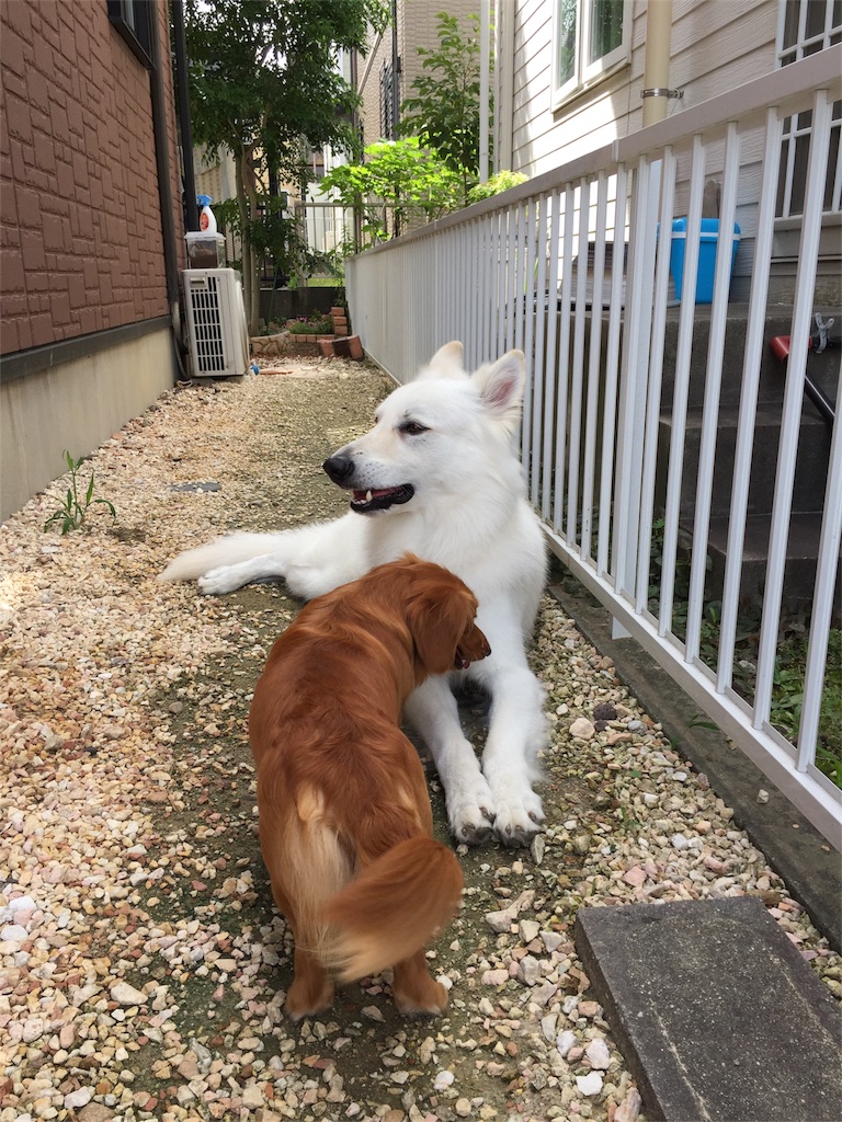 f:id:Lien0927:20180703120223j:image f:id:Lien0927:20180703120223j:image